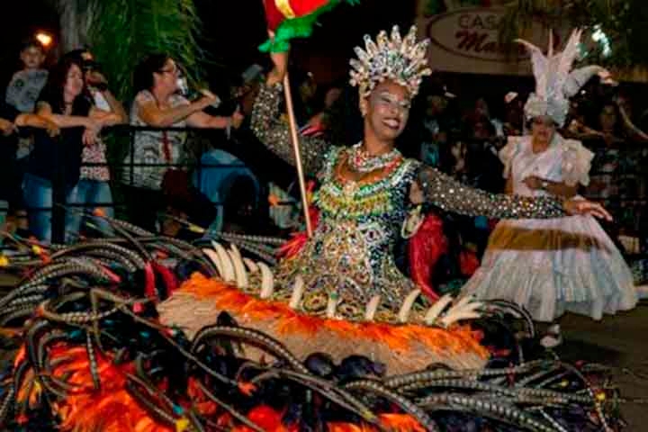 O Desfile das Escola de Samba, Blocos e Grupos Carnavalescos de Alvorada acontecerá em 23 de março, na avenida Wenceslau Fontoura, ao lado do Ginásio Municipal, organizado pela Secretaria Municipal de Cultura, Esporte e Juventude (Smcej). Reprodução: Flipar