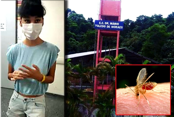 Todos sabem que mosquitos são insetos perigosos que transmitem uma grande variedade de doenças. Mas existem casos que causam perplexidade. Um deles aconteceu com uma adolescente de 14 anos no estado de São Paulo. Ela perdeu parte da perna após uma picada de mosquito.  O FLIPAR mostrou e relembra o caso como alerta sobre os cuidados.  Reprodução: Flipar