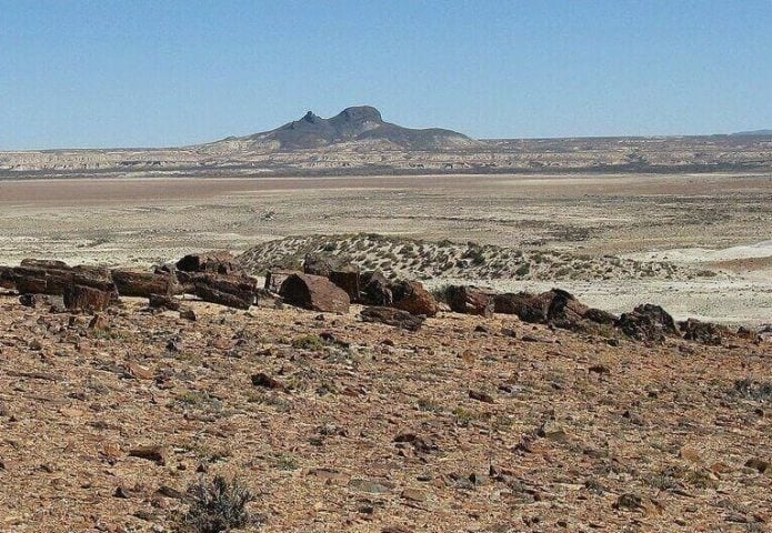 7º Patagônia (670.000 km²) - Fica na Argentina e se destaca pela riqueza mineral.  Tem petróleo e ferro. Possui vegetação de estepe, adaptada à falta de chuvas.   Reprodução: Flipar