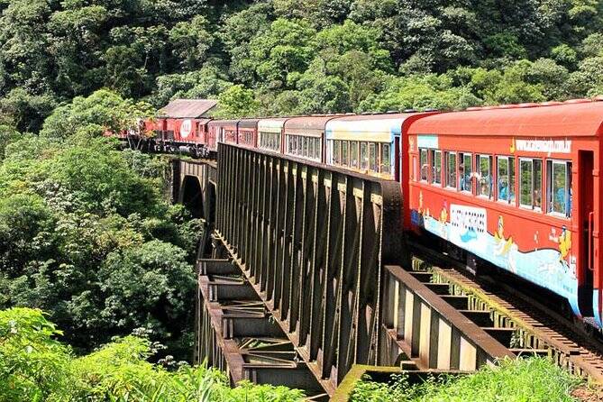 Trecho da viagem de trem entre Curitiba e Morretes. Foto: Viator/Reprodução