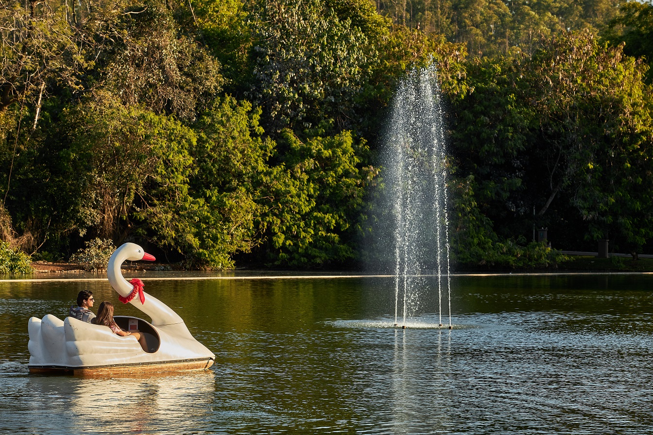 Pedalinho no Lagos de Jurema, aqui também acontece a famosa revoada das garças. Foto: Termas de Jurema/Divulgação