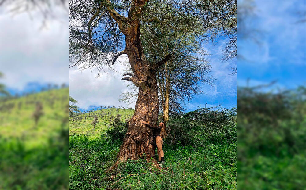 Grazi Massafera abraça árvore centenária na Tanzânia. Foto: Reprodução/Instagram