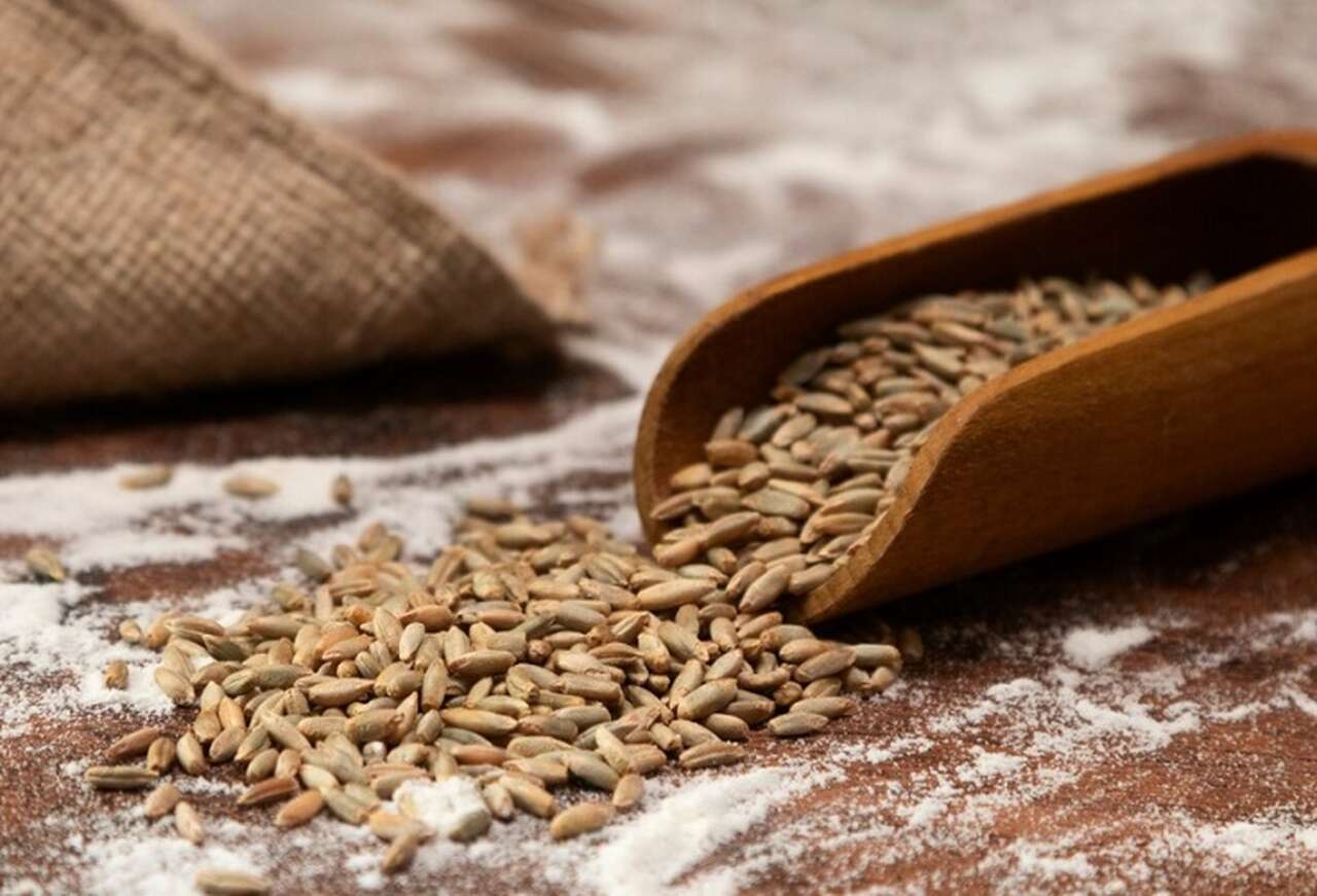 O grão de trigo também é um excelente fornecedor de energia para o corpo humano, sendo uma escolha popular entre aqueles que buscam uma alimentação balanceada e saudável. Reprodução: Flipar