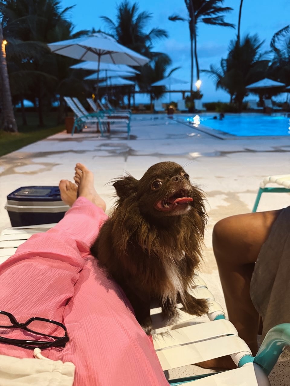 De biquini, Taís Araujo abre álbum de fim de ano e celebra chegada de 2026. Foto: Instagram