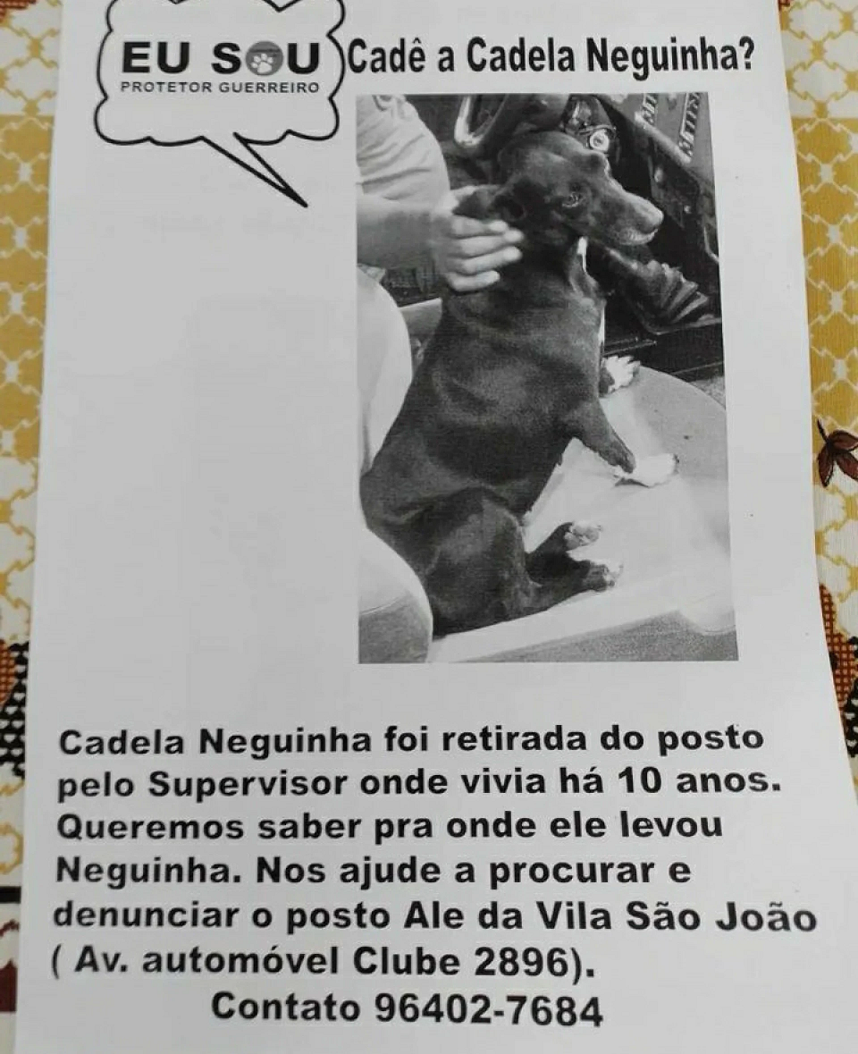 Cartaz criado para ajudar a encontrar a Neguinha. Foto: Divulgação