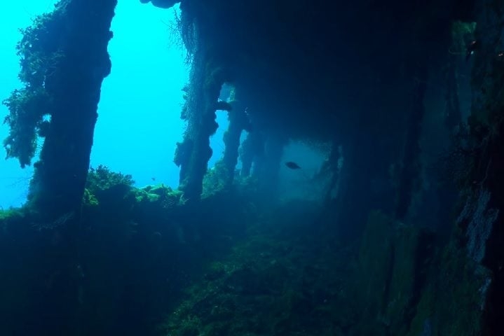 O Fujikawa Maru é só um dos 60 naufrágios mais acessíveis por lá. O navio de carga está a apenas 9 metros de profundidade e é fácil de explorar por dentro, onde os mergulhadores podem ver aviões e munições, entre outras coisas. Reprodução: Flipar