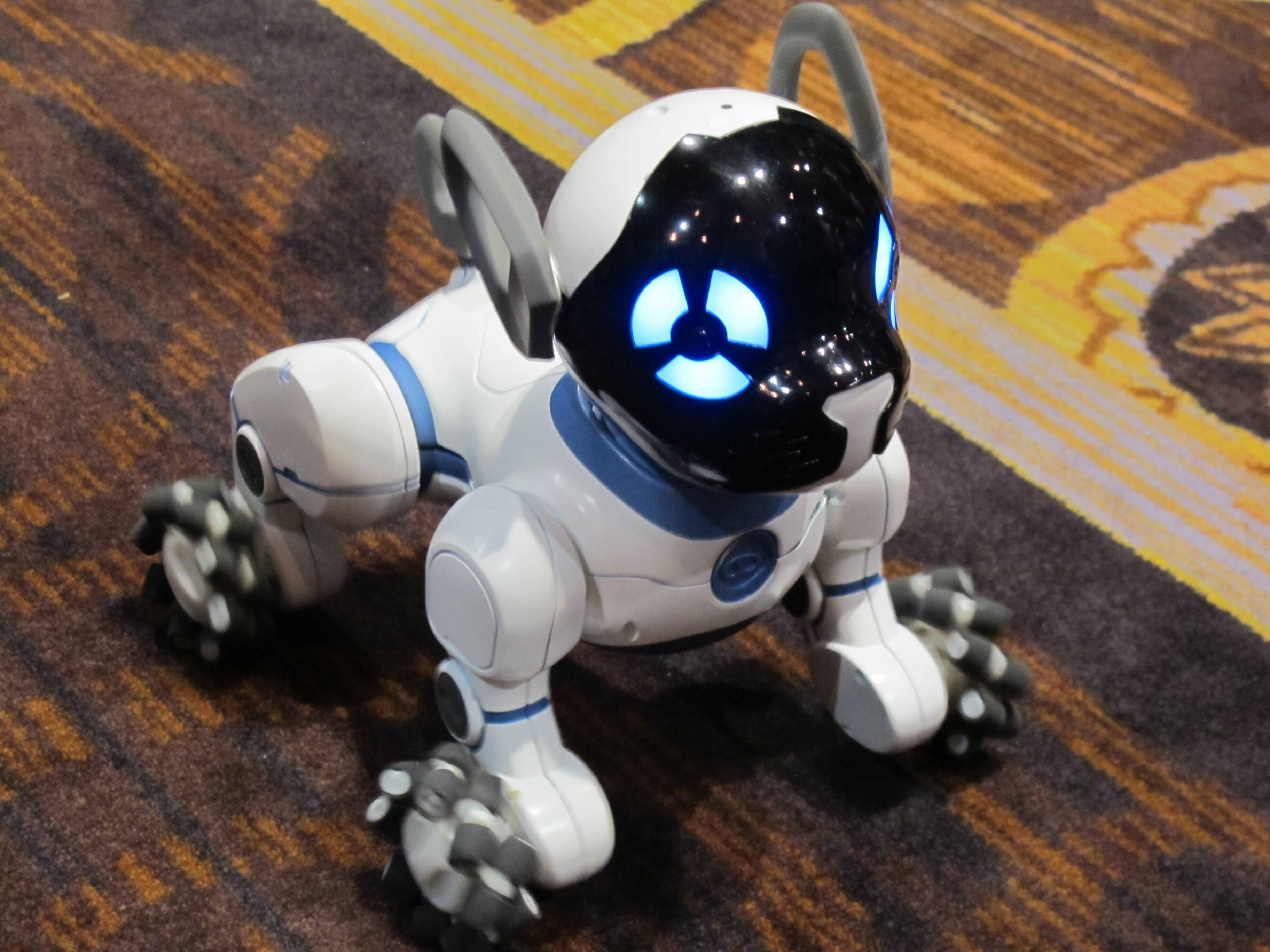 A WowWee lançou um substituto para o melhor amigo do homem. De acordo com a empresa, o robô tem personalidade própria e pode brincar com o dono. Foto: Emily Canto Nunes/iG