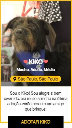 Cachorros que estarão disponíveis na feira de adoção "Dia do AdoCÃO". Foto: Divulgação