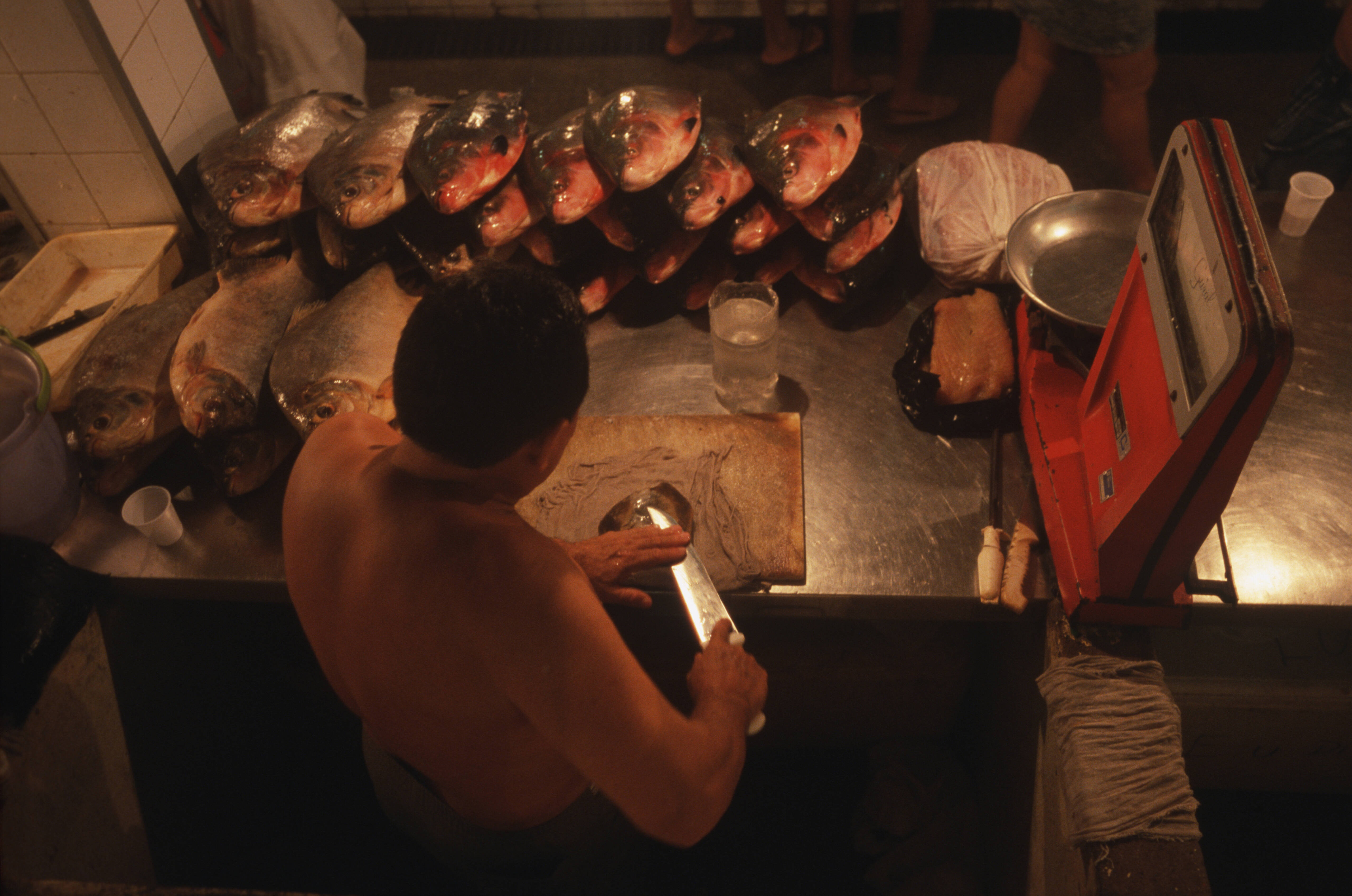 Mercado Municipal de Manaus tem barracas de peixes e produtos típicos do Amazonas Getty Images