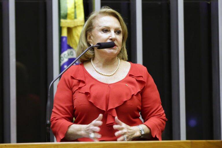 Elcione Barbalho (MDB-PA) - 47 faltas justificadas e 14 faltas não justificadas. Foto: Najara Araújo/Câmara dos Deputados