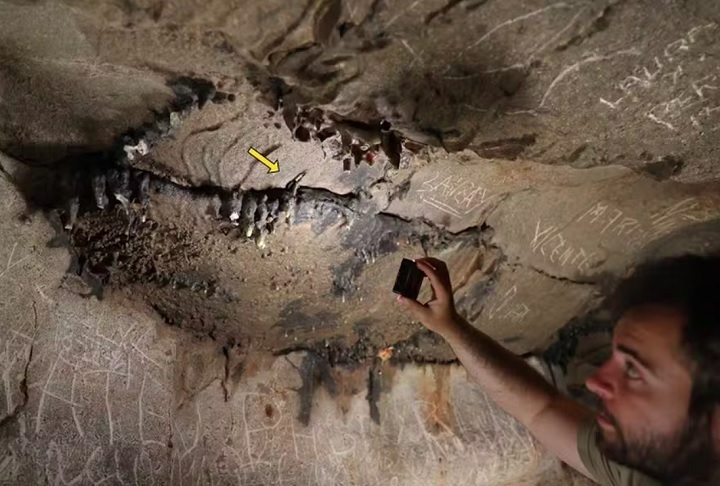 Durante uma expedição a 200 metros de profundidade, os cientistas descobriram uma moeda romana presa entre uma fenda no teto e uma estalactite. Reprodução: Flipar