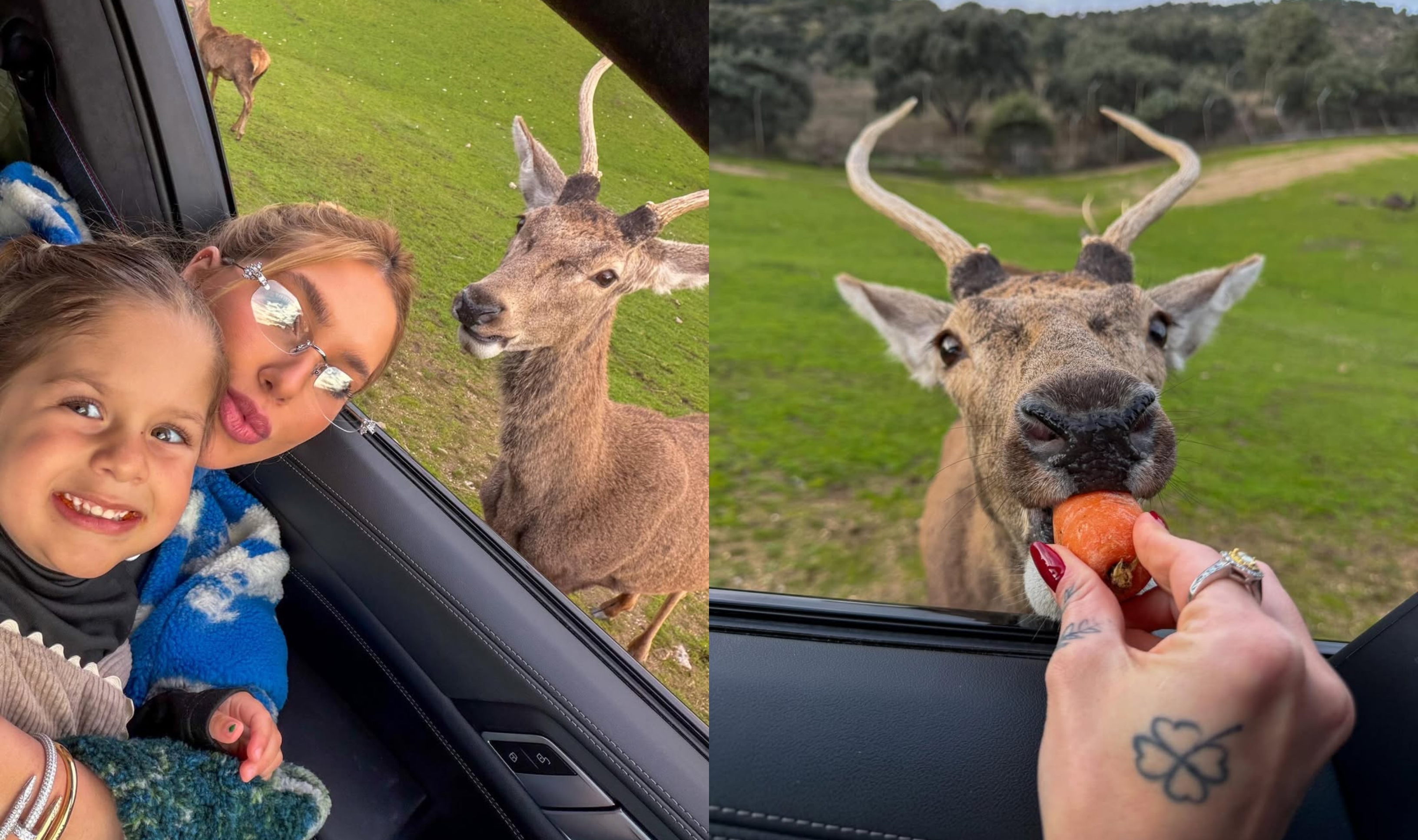 Virgínia Fonseca dando comida aos animais. Foto: Reprodução das Redes Sociais