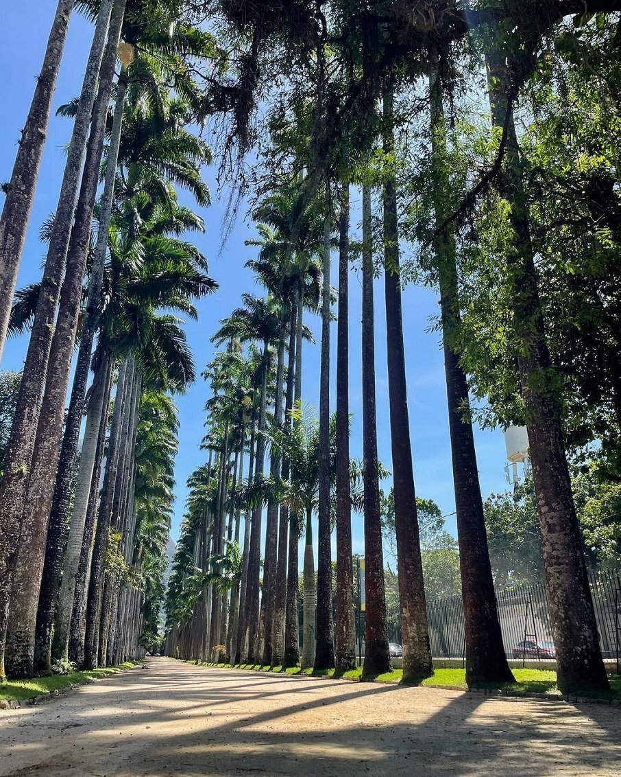 O Jardim Botânico, no Rio de Janeiro. Foto: Reprodução/Instagram 03.03.2023