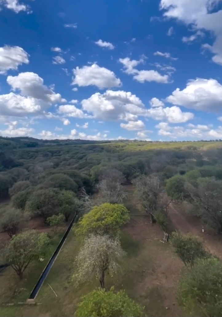 O então pedreiro morava em Nova Fátima, povoado de Hidrolândia, e fazia feiras em Goiânia, recém criada à época. Ao perceber o potencial de crescimento da capital planejada, decidiu investir na plantação de jabuticaba. Reprodução: Flipar