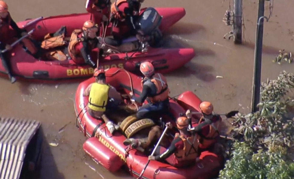 Já sedado, ele foi levado de bote. A operação envolveu pelo menos três botes com equipe acompanhando o percurso em meio à inundação. O cavalo recebeu soro no bote e terá outros cuidados veterinários para se recuperar do desgaste.  Reprodução: Flipar