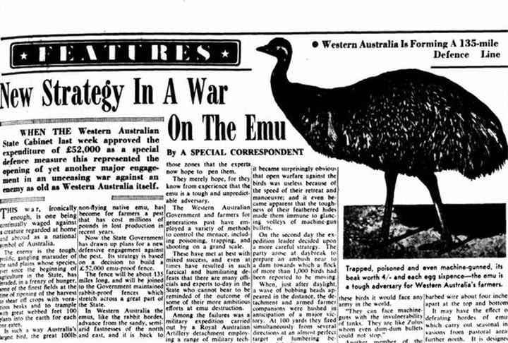 O evento inusitado aconteceu em 1932. Portanto, poucos anos antes da eclosão da Segunda Guerra Mundial, maior conflito do século 20. Reprodução: Flipar