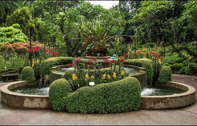 Os jardins botânicos são espaços onde árvores de diversas espécies são preservadas e estudadas. Os JBs , além de manterem parques abertos à visitação, também são instituições de pesquisa. Reprodução: Flipar