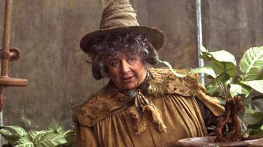 Pomona Sprout (Miriam Margolyes) – Professora de Herbologia e diretora da Lufa-Lufa. Especialista em plantas mágicas, ensina aos alunos sobre ingredientes essenciais para poções e feitiços.
 Reprodução: Flipar