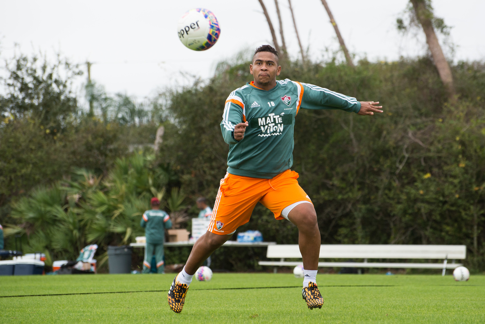 Walter Divulgação/ Fluminense