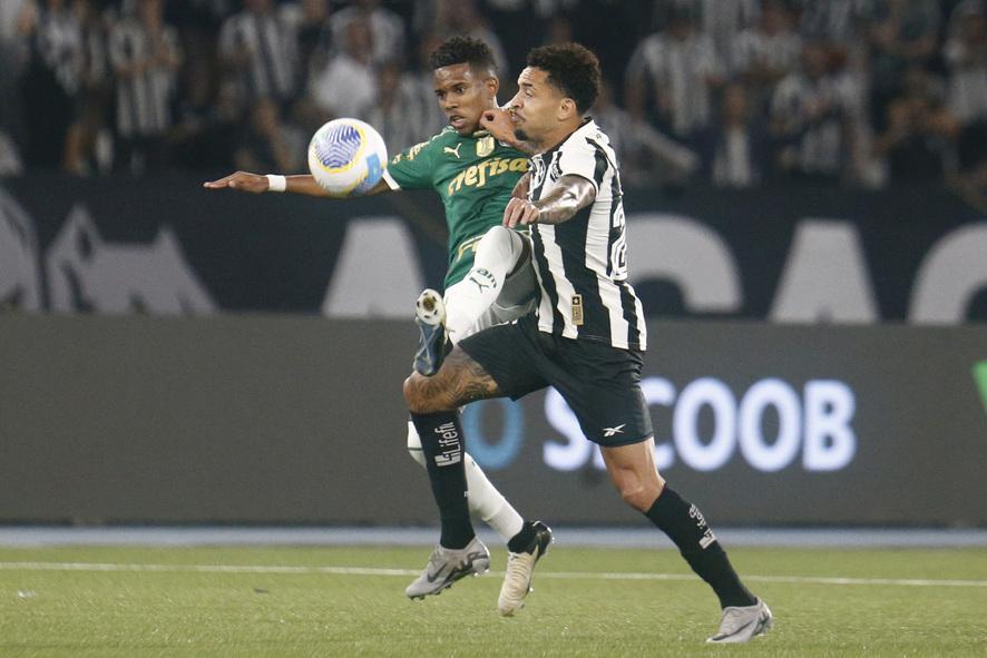 Botafogo x Palmeiras (Foto: Vítor Silva/Botafogo)