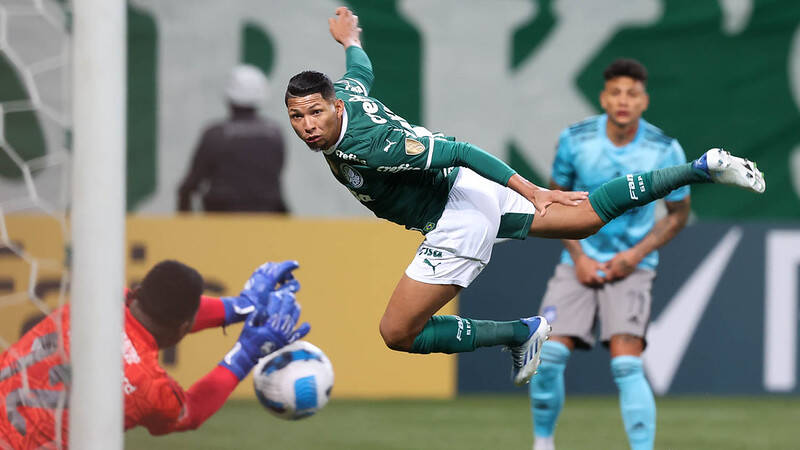 Foto: Divulgação/Palmeiras