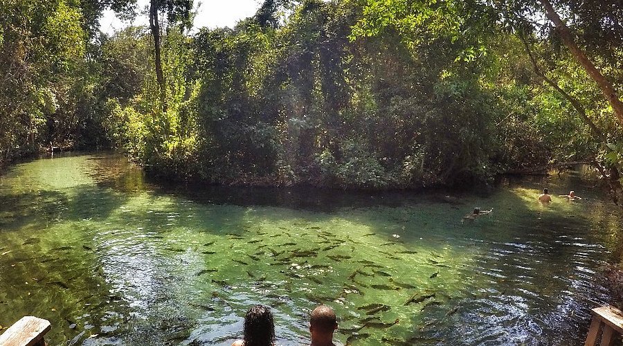 Refúgio das Águas – Um lugar ideal para quem busca tranquilidade e contato com a natureza. Com trilhas leves e banhos relaxantes no Rio Salobra, é o destino perfeito para relaxar e se revigorar em meio a águas cristalinas, podendo escolher entre ficar o dia todo ou apenas meio período. Reprodução