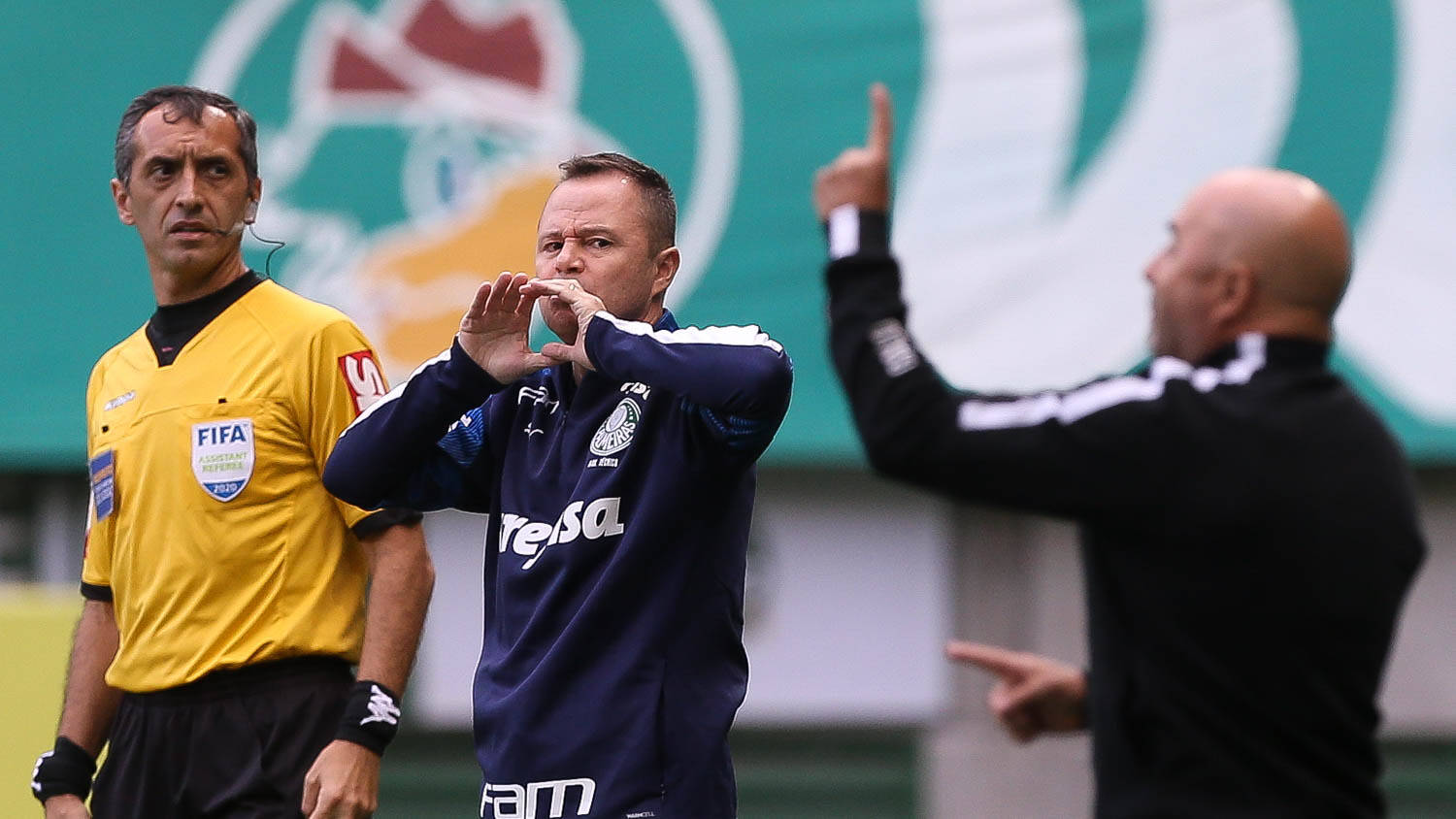 Palmeiras. Foto: Cesar Greco