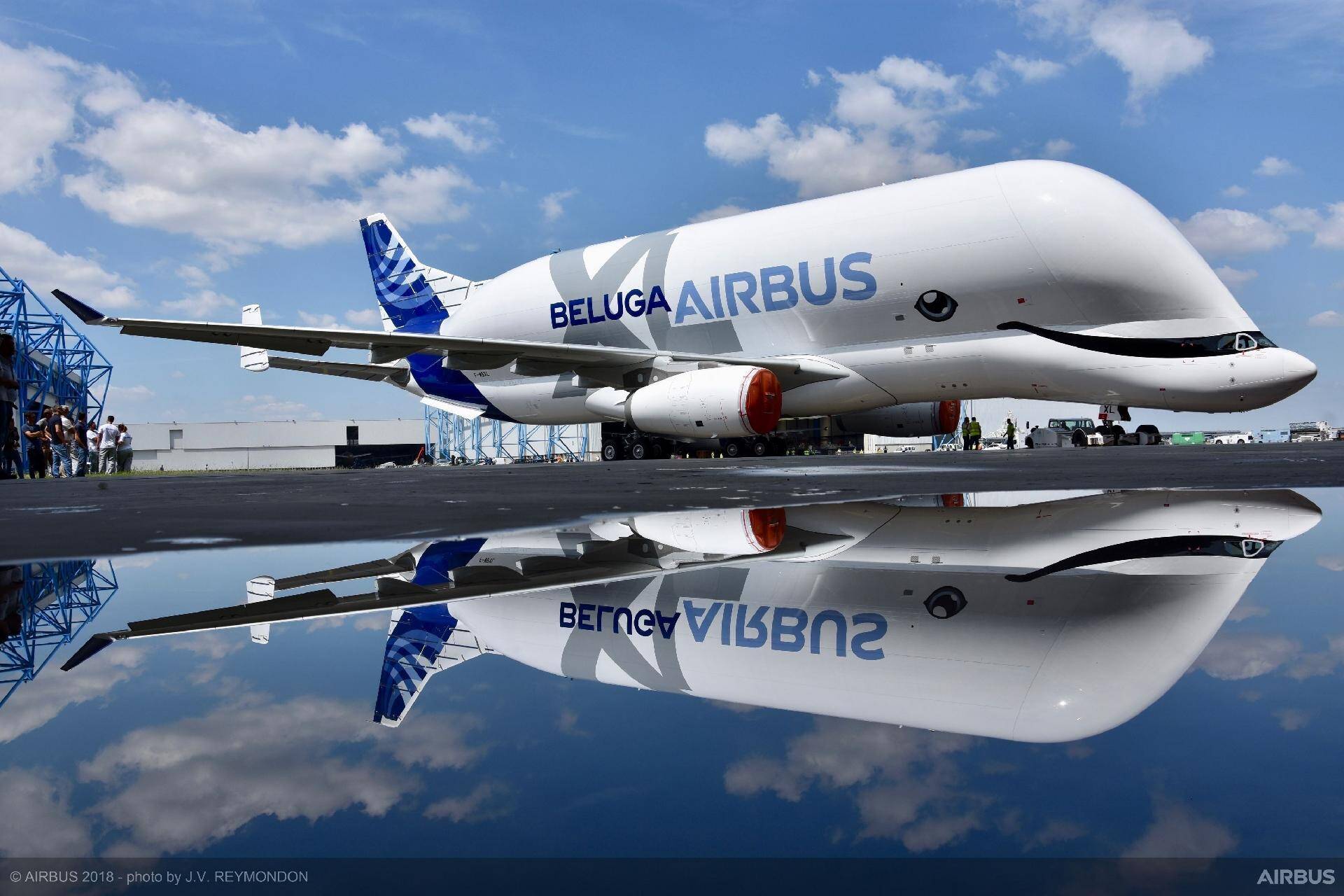 Airbus Beluga, avião com formato de baleia que "homenageou" o mamífero. Foto: Divulgação