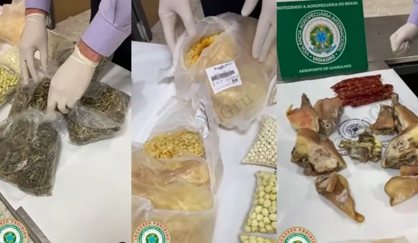Cabeça de porco: A equipe da Vigiagro encontrou em uma bagagem proveniente da China, além de mel, grãos e vegetais sem rótulos ou identificação, uma cabeça de porco separada em partes como orelhas, crânio, língua e boca.  Reprodução: Flipar