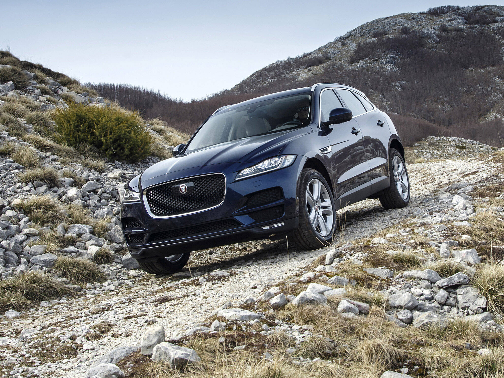 Jaguar F-Pace. Foto: Divulgação/Jaguar Land Rover