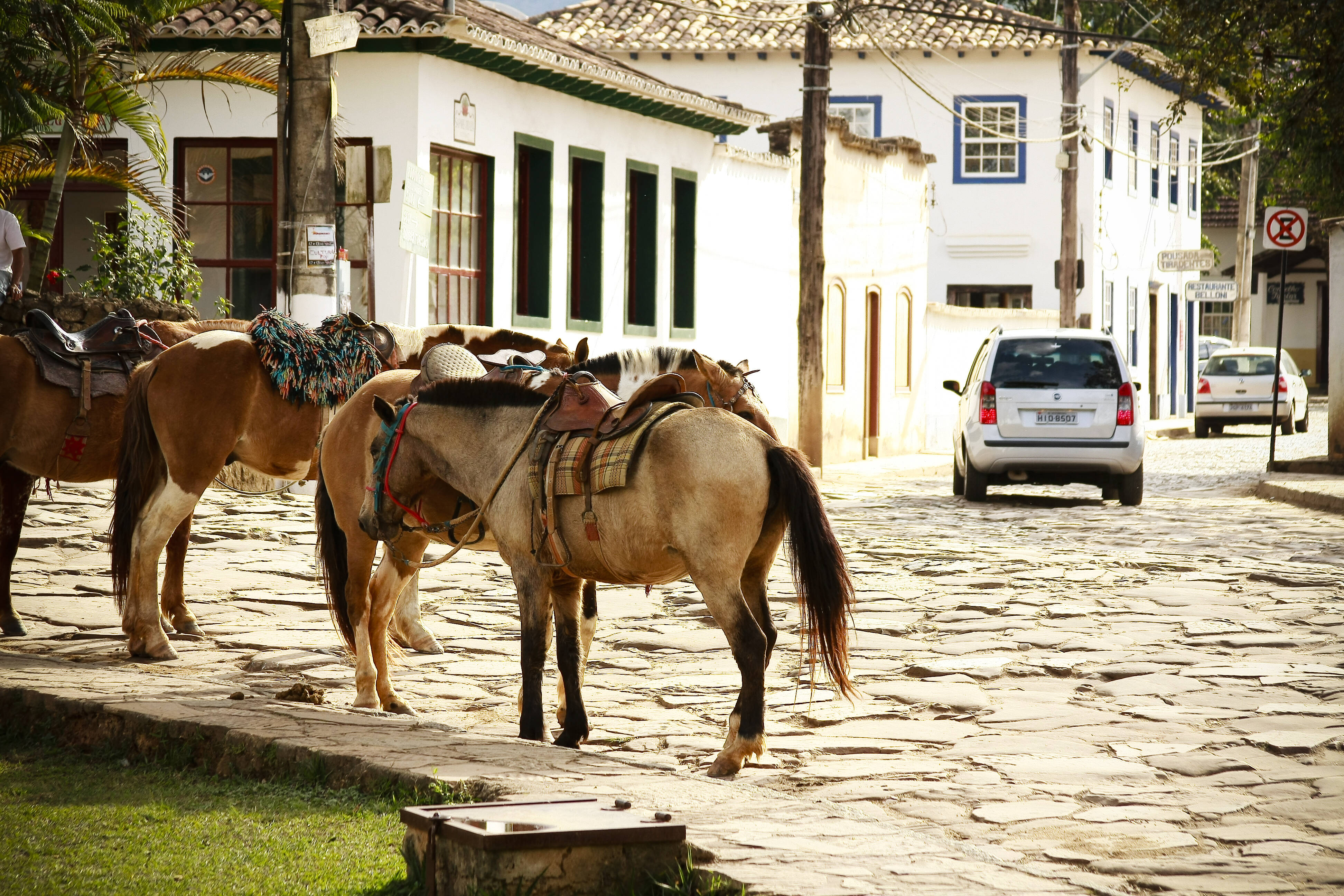 Cavalos na rua são comuns em Tiradentes. Foto: Felipe Carneiro