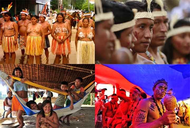 Venezuela: Povos como os Yanomami, Pemon e Warao habitam regiões como a Amazônia e o Delta do Orinoco. Eles enfrentam dificuldades devido à crise econômica e à mineração ilegal em seus territórios. Apesar disso, preservam práticas tradicionais e línguas únicas. Reprodução: Flipar