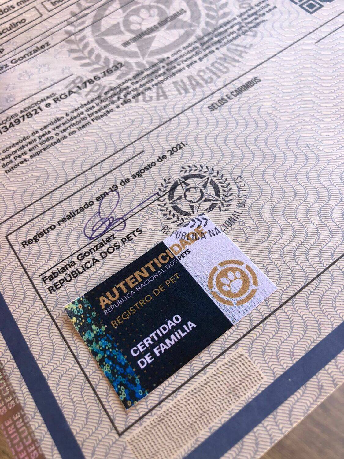 A certidão é impressa em papel moeda com itens de segurança. Foto: Divulgação