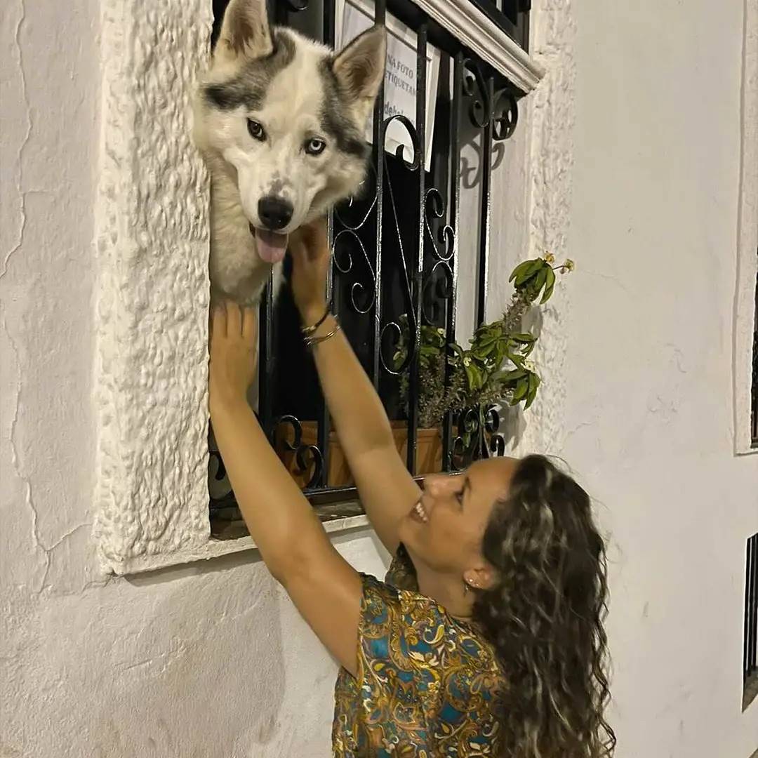 O cão se tornou um símbolo para a cidade. Foto: Reprodução/Instagram/@elbalcondehalong_