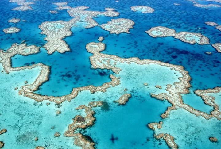 A Grande Barreira de Coral enfrenta uma série de ameaças, incluindo mudanças climáticas, poluição e sobrepesca. As mudanças climáticas são a maior ameaça ao recife, pois o aumento da temperatura da água está fazendo com que os corais branqueiem e morram. Reprodução: Flipar