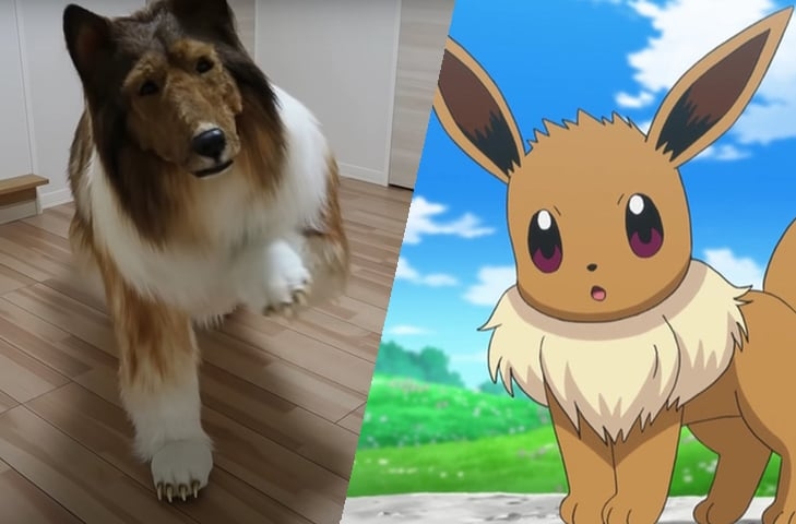 Nas redes sociais, o homem usa a identificação @toco_eevee, além de algumas fotos dele. O nome é uma homenagem ao Pokémon de mesmo nome. Este, por sua vez, lembra um cachorro da raça collie. Compare! Reprodução: Flipar