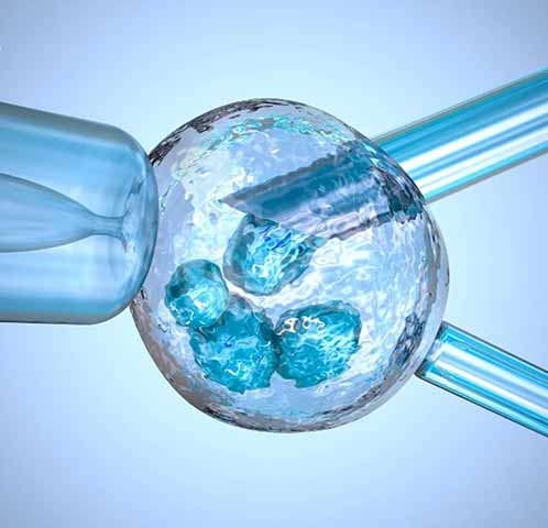 A identificação da incompatibilidade genética do casal ocorreu durante testes com embriões gerados no processo de fertilização in vitro. 

 Reprodução: Flipar