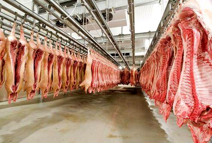 A principal fonte de ferro, na luta contra a anemia, é a carne bovina, que também traz uma série de nutrientes como proteínas, aminoácidos, gorduras, vitaminas A e do complexo B. Além de minerais como zinco, fósforo, potássio e magnésio.  Reprodução: Flipar
