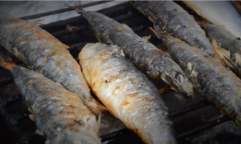 Sardinha - Peixe que habita zonas costeiras do Atlântico e do Mediterrâneo, muito comum em pescarias, pois vive em grandes cardumes. Popular, é vendido também em lata, puro ou com condimentos. Acompanha bem várias refeições, especialmente com limão, e serve para lanche combinando com o pão. Ajuda na concentração, nas habilidades motoras e no controle da pressão arterial. 100 gramas do peixe fresco têm 114 calorias.  Reprodução: Flipar