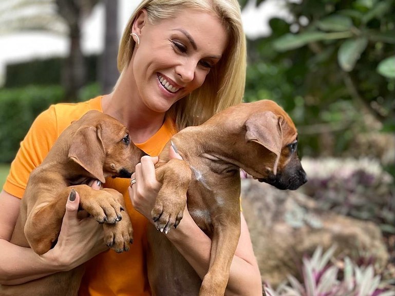 Ana Hickmann com seus cães de estimação. Foto: Reprodução/Instagram