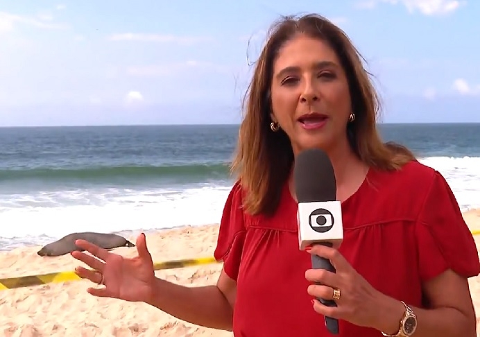 Ao abordar uma senhora curiosa que estava no local para acompanhar a chegada de um lobo-marinho que apareceu nas areias da praia, a jornalista tentou interagir. Reprodução: Flipar