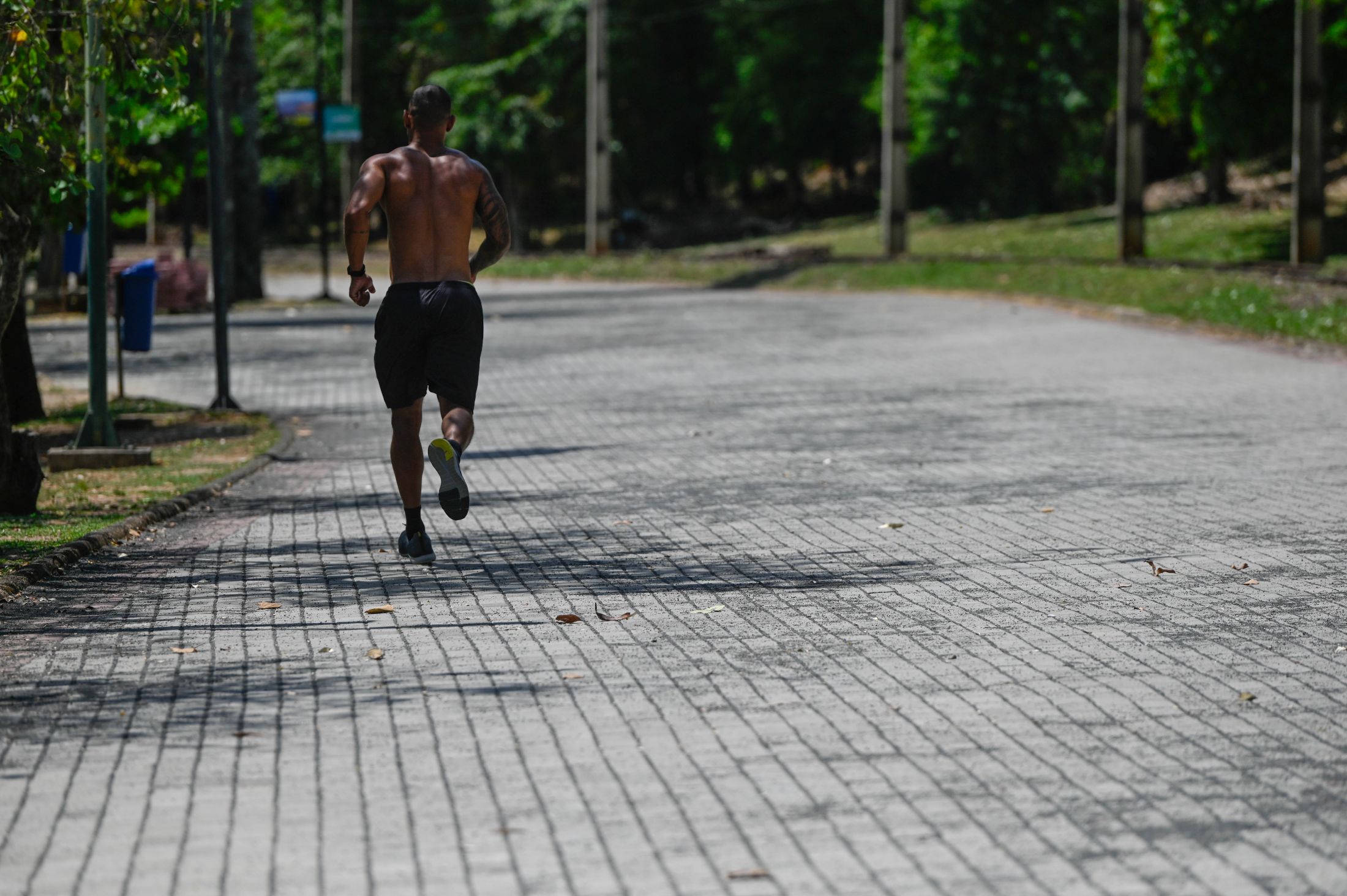 Pista para caminhada do Parque Portugal em Campinas (SP). Foto: Divulgação / Prefeitura de Campinas (SP)