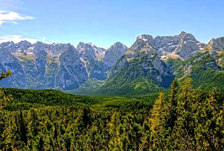 Áustria - Nos Alpes, florestas de coníferas com belos pinheiros protegem a biodiversidade e os solos montanhosos. Os pinheiros são coníferas do gênero Pinus, com folhas em forma de agulhas e cones que contêm suas sementes. São adaptáveis a diferentes climas, possuem madeira versátil e são amplamente usados na produção de papel, móveis e resinas.

 Reprodução: Flipar