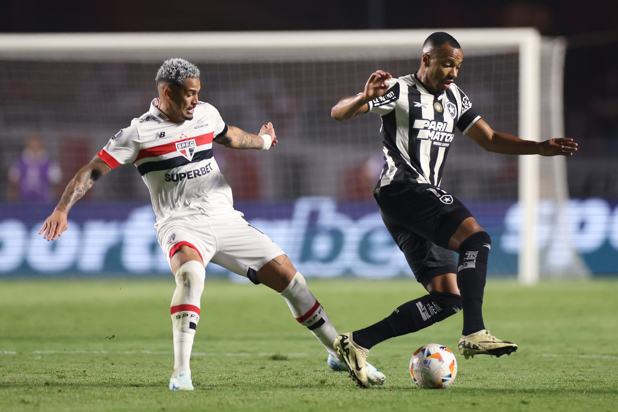 São Paulo x Botafogo Foto: Vítor Silva/Botafogo