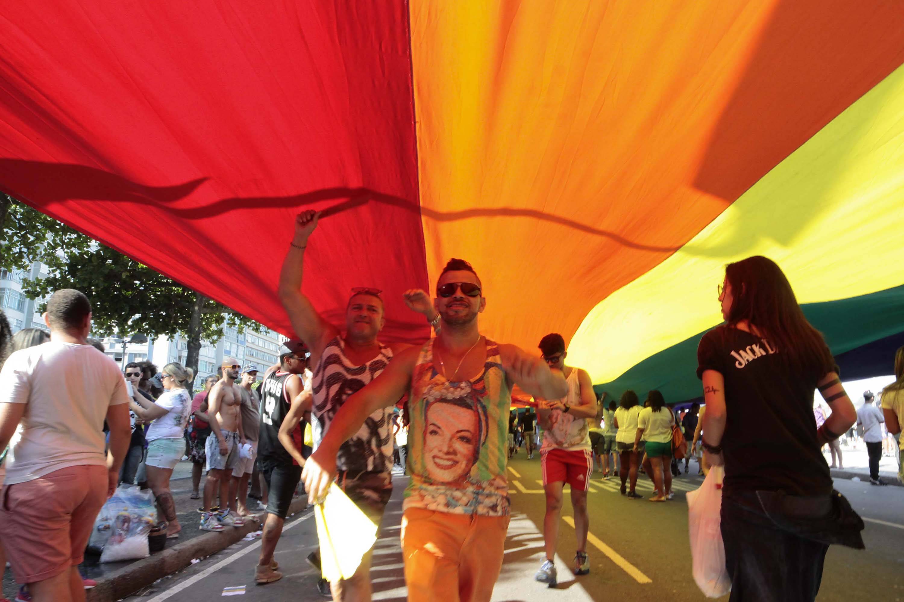 Pessoas de todas as idades participam da Parada LGBT no Rio. Foto: Ariel Subirá/Futura Press 16 11 2014