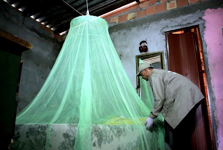 A doença é mais comum em países tropicais, como o Brasil. O mosquito-palha que carrega o protozoário tem hábitos noturnos. Mede de 2 a 3 milímetros e por isso é capaz de atravessar malhas dos mosquiteiros e telas. Ele é amarelado.  Reprodução: Flipar