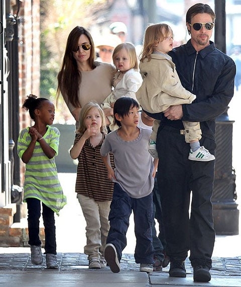 Angelina Jolie e Brad Pitt são pais biológicos dos gêmeos Knox Léon e Vivienne Marcheline, além de Shiloh Nouvel. Maddox Chivan, Pax e Zahara Marley são adotivos e cada um é de uma nacionalidade. Um acordo de custódia compartilhada de seus filhos menores ainda não foi finalizado.