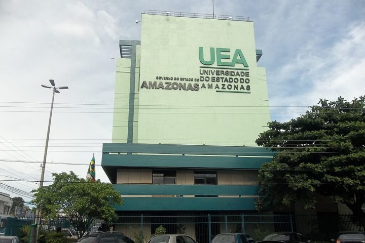 Os estudos foram conduzidos pela Faculdade de Ciências Farmacêuticas de Ribeirão Preto da USP, em parceria com o Instituto Nacional de Pesquisas da Amazônia (Inpa) e a Universidade do Estado do Amazonas (UEA). Reprodução: Flipar