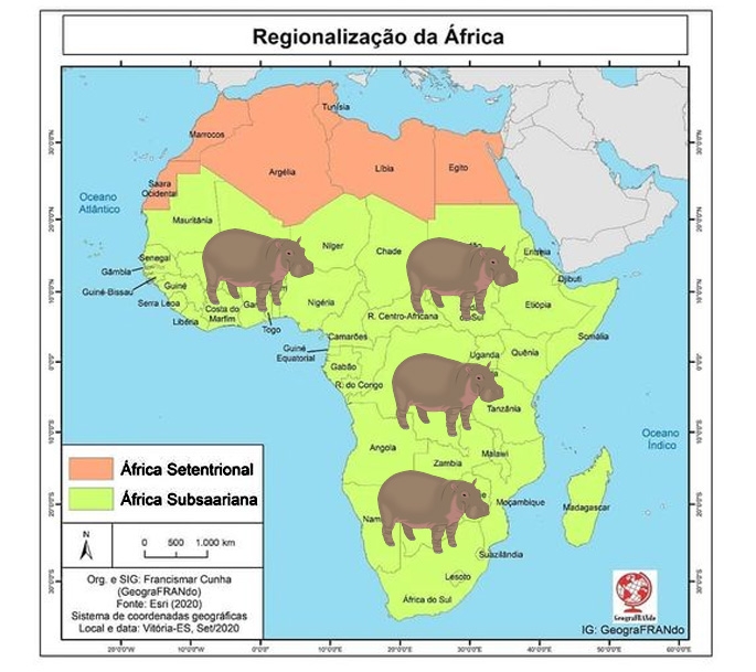 O hipopótamo comum tem origem na África Subsariana, a parte do continente africano situada ao sul do Deserto do Saara. Reprodução: Flipar