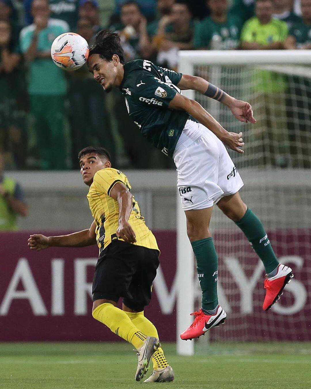 Gustavo Gomez, do Palmeiras. Foto: Instagram
